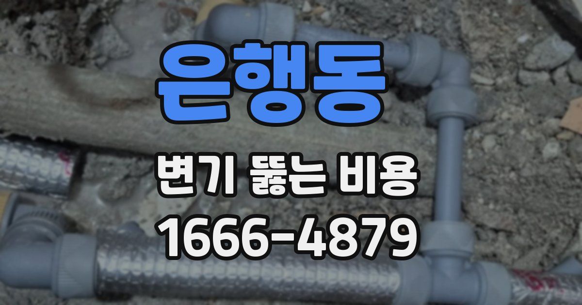 은행동 변기 뚫는 비용
