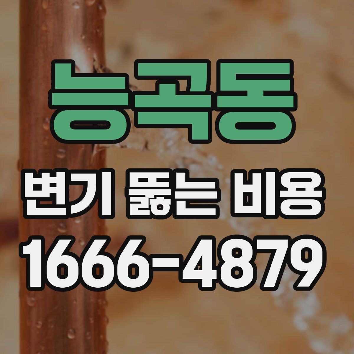 능곡동 변기 뚫는 비용