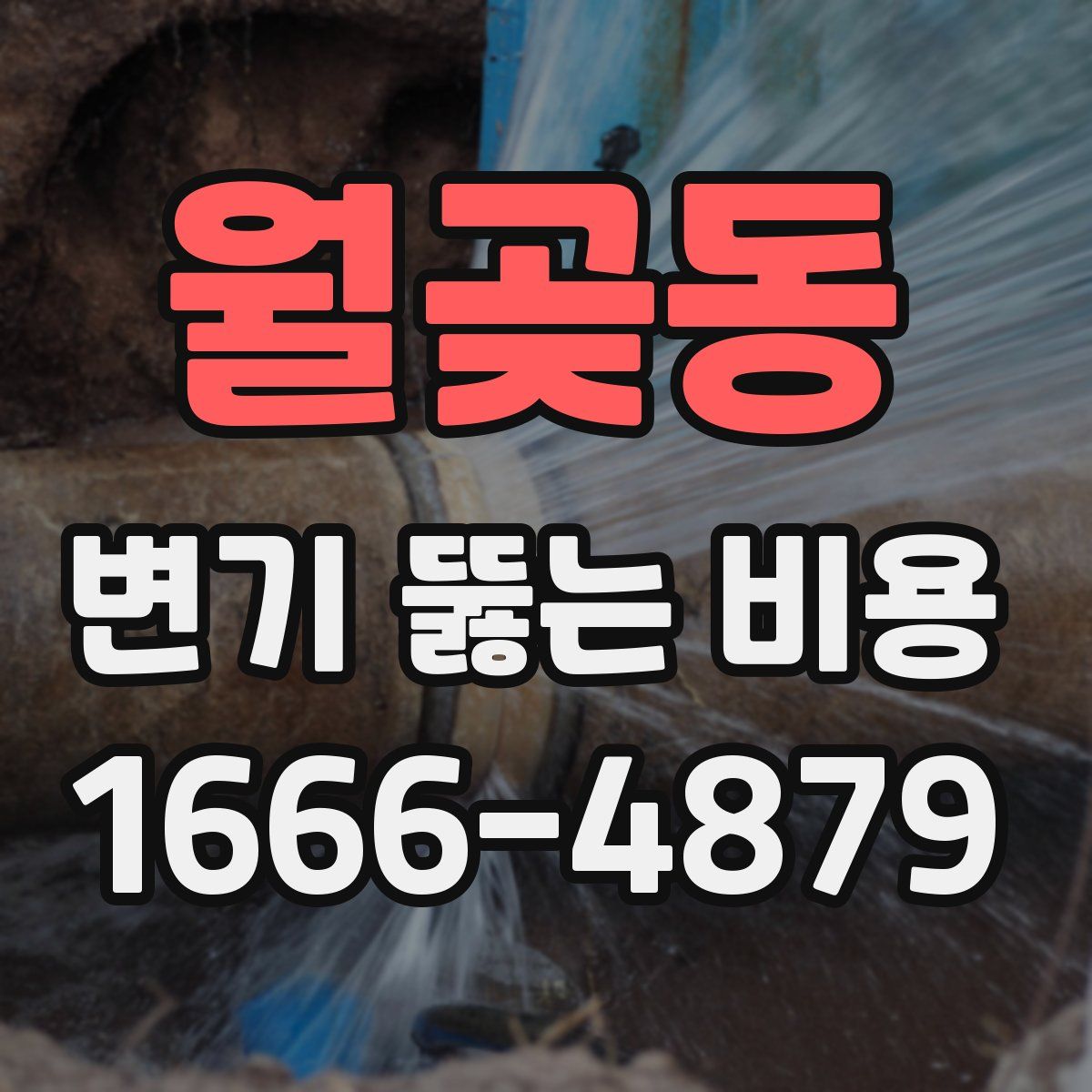 월곶동 변기 뚫는 비용