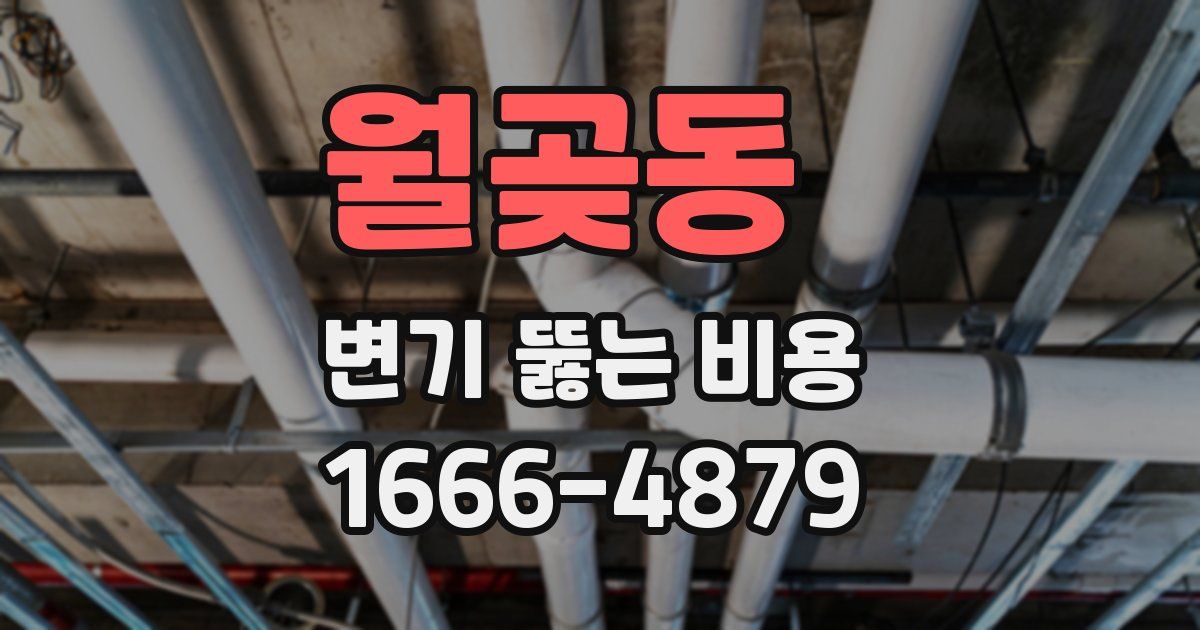 월곶동 변기 뚫는 비용