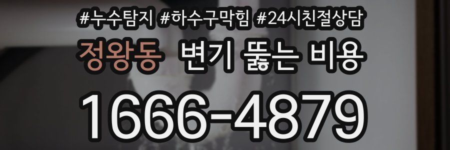 정왕동 변기 뚫는 비용