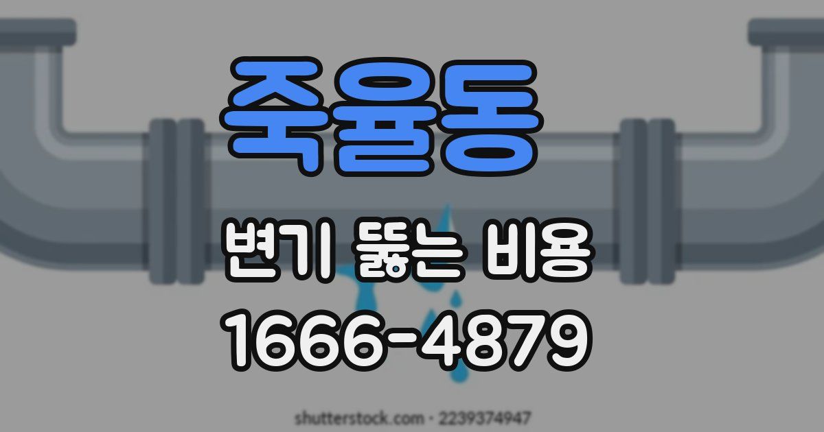 죽율동 변기 뚫는 비용