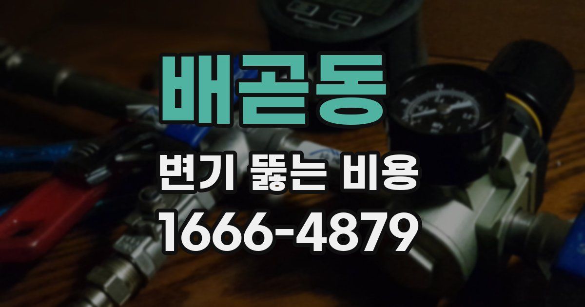 배곧동 변기 뚫는 비용