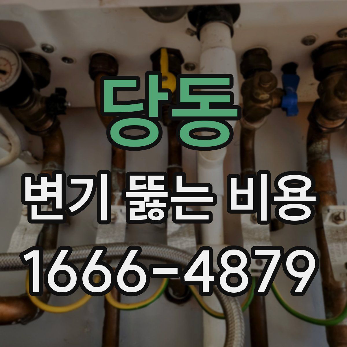 당동 변기 뚫는 비용