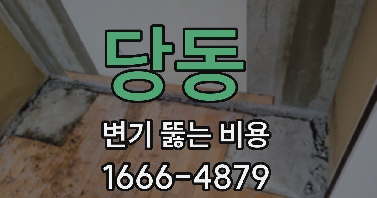 당동 변기 뚫는 비용