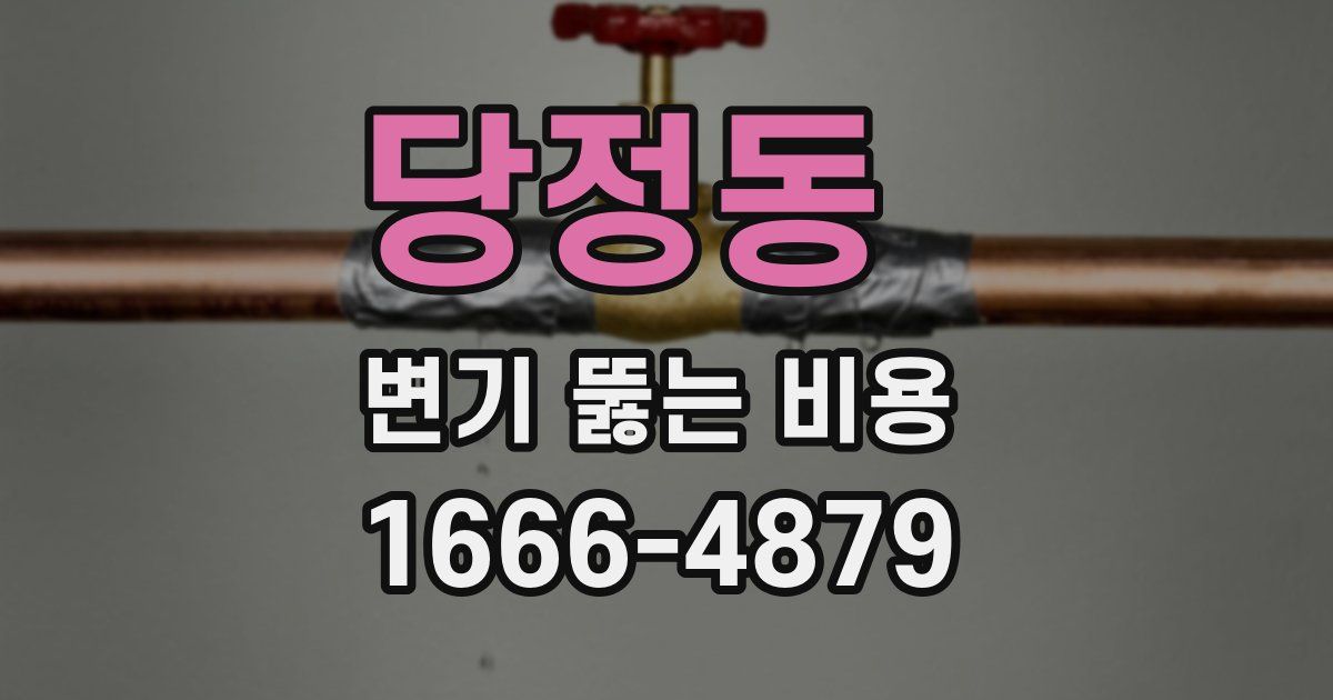 당정동 변기 뚫는 비용