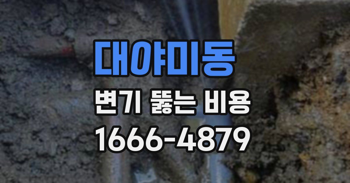 대야미동 변기 뚫는 비용