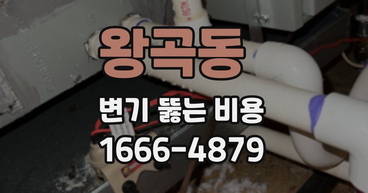 왕곡동 변기 뚫는 비용