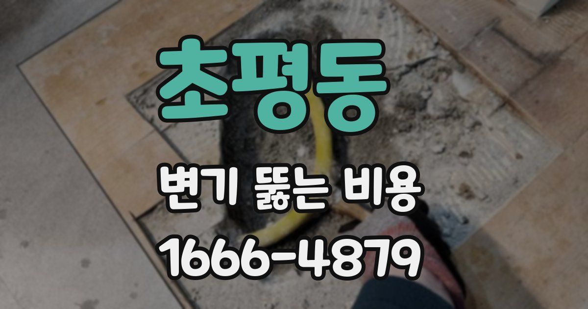 초평동 변기 뚫는 비용