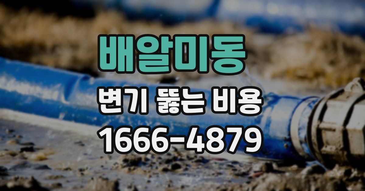 배알미동 변기 뚫는 비용