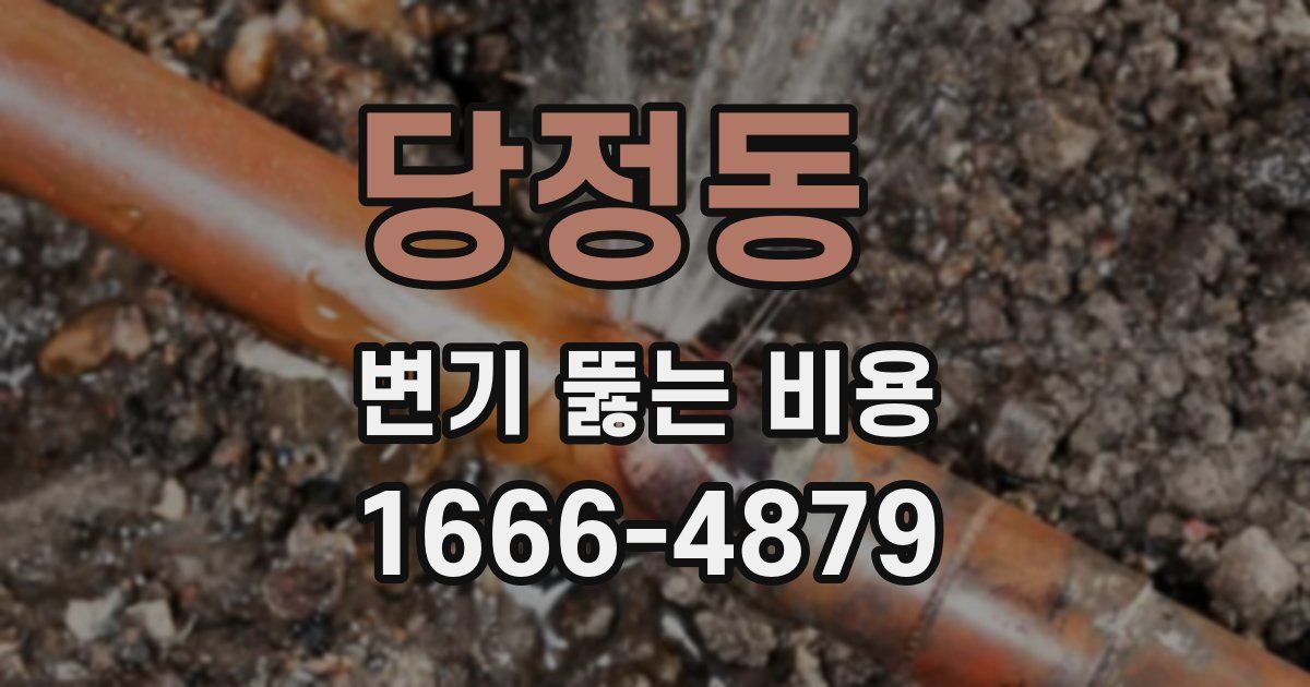 당정동 변기 뚫는 비용