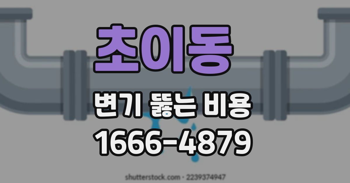 초이동 변기 뚫는 비용