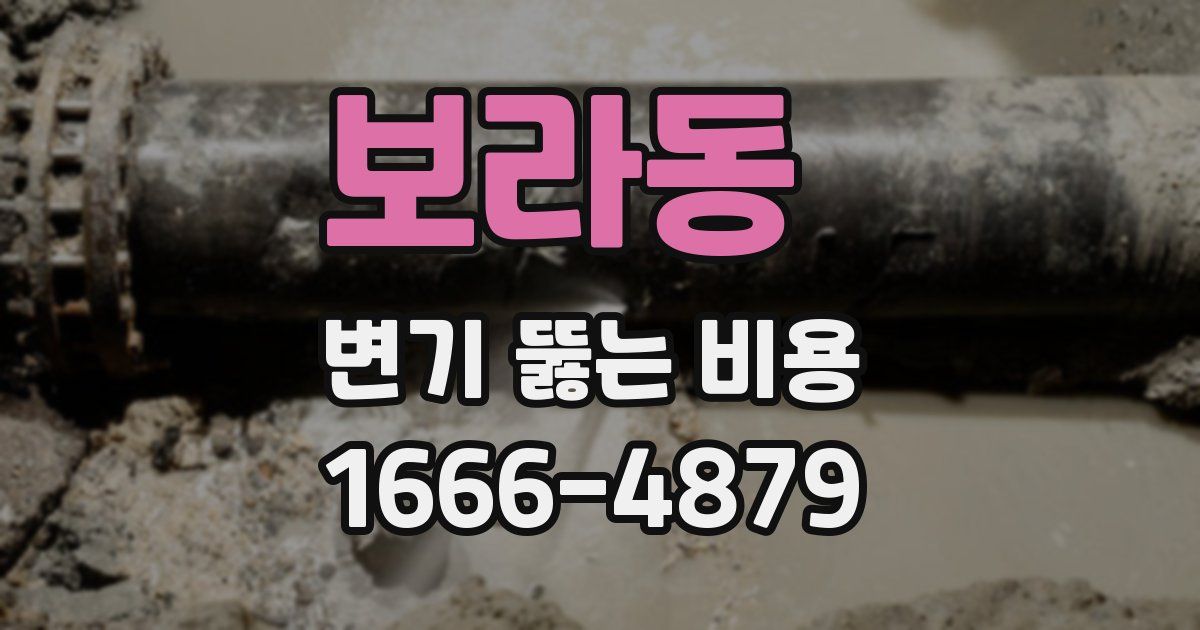 보라동 변기 뚫는 비용