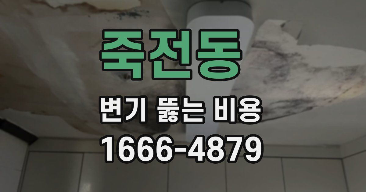 죽전동 변기 뚫는 비용