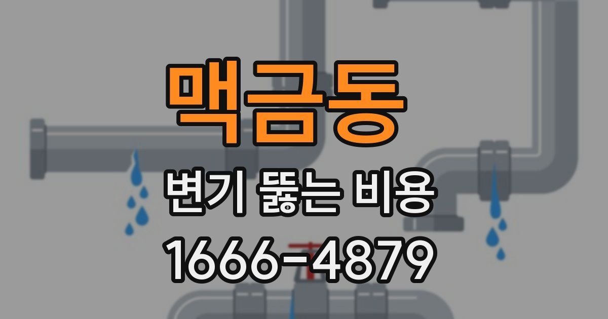 맥금동 변기 뚫는 비용