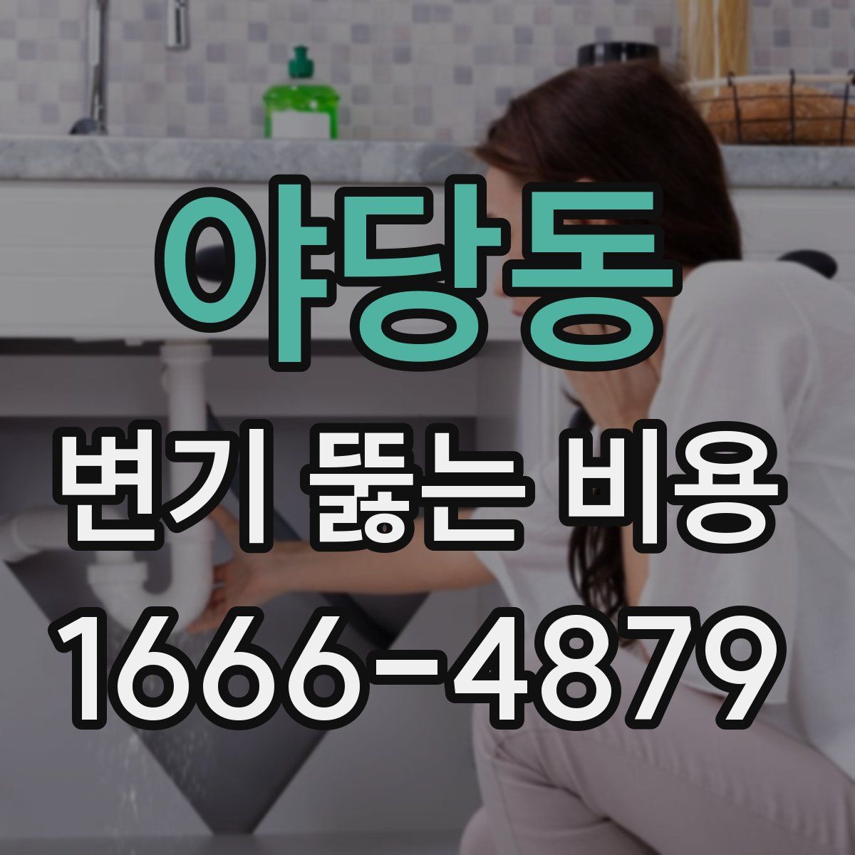 야당동 변기 뚫는 비용