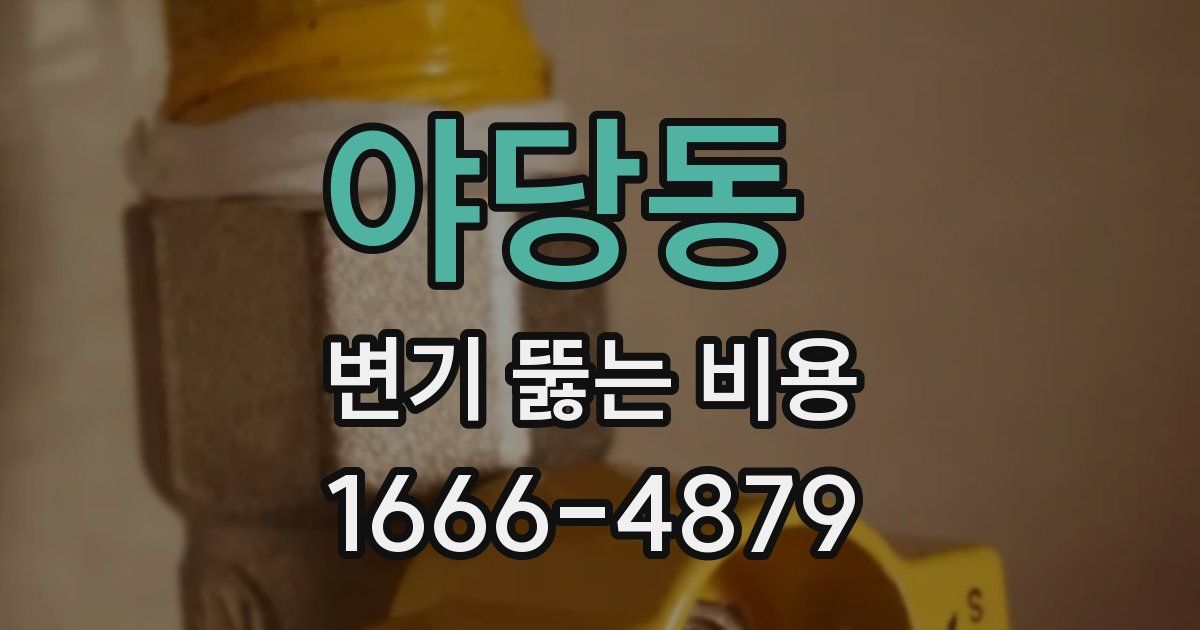 야당동 변기 뚫는 비용