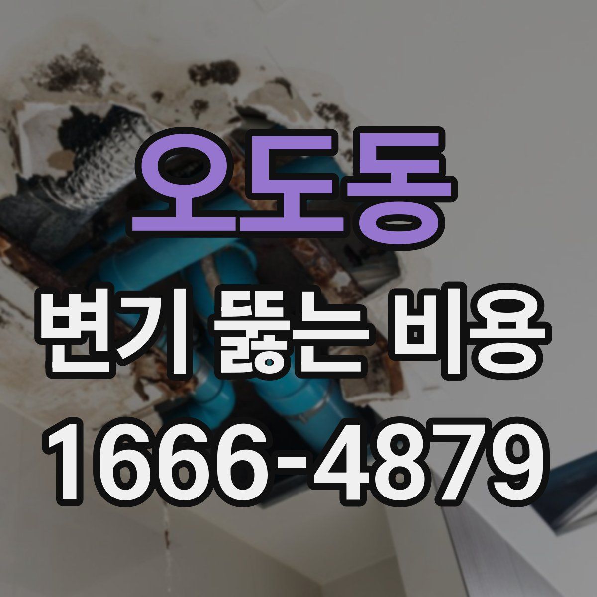 오도동 변기 뚫는 비용
