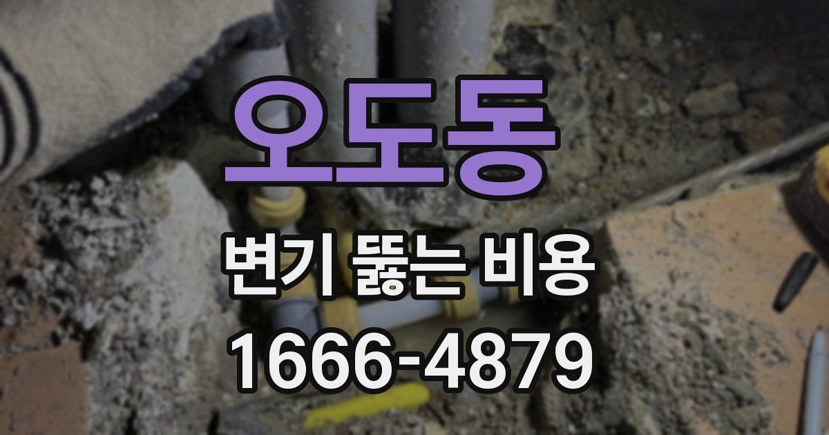 오도동 변기 뚫는 비용