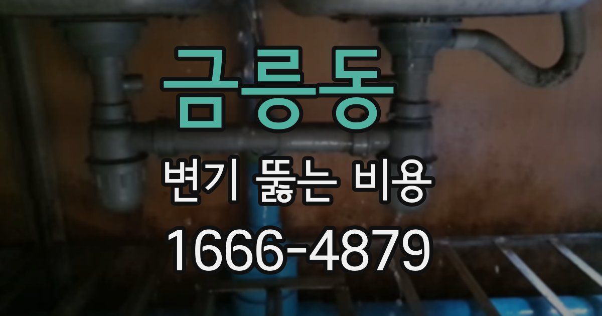 금릉동 변기 뚫는 비용