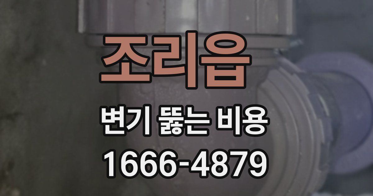 조리읍 변기 뚫는 비용