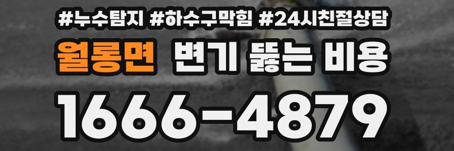 월롱면 변기 뚫는 비용