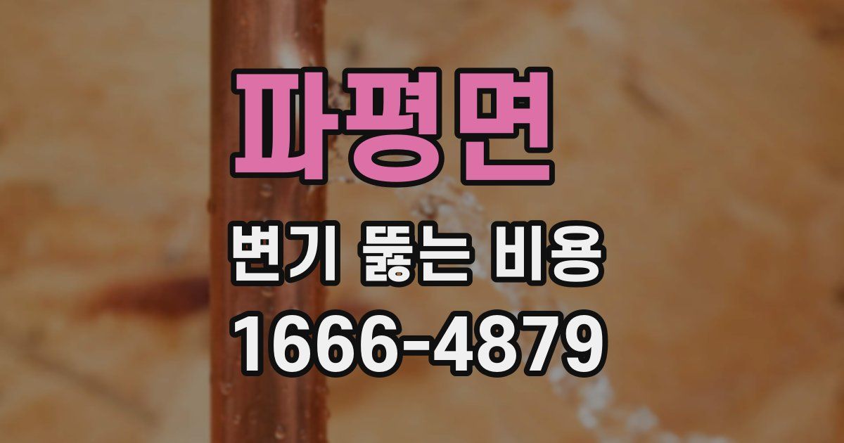 파평면 변기 뚫는 비용