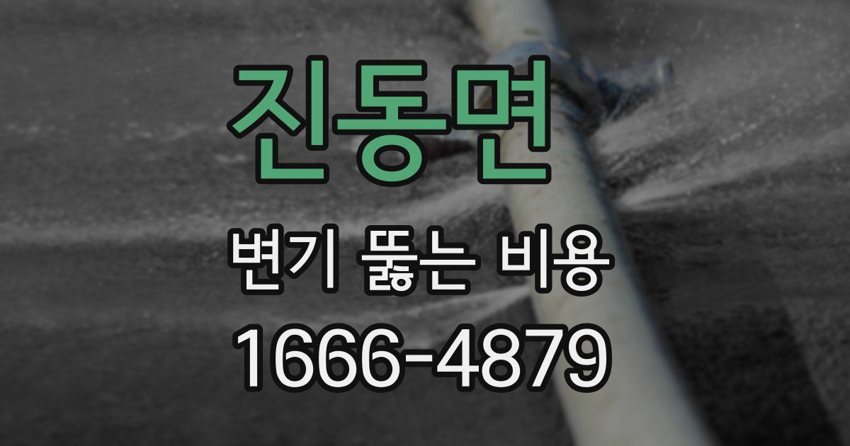 진동면 변기 뚫는 비용