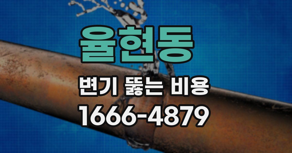 율현동 변기 뚫는 비용