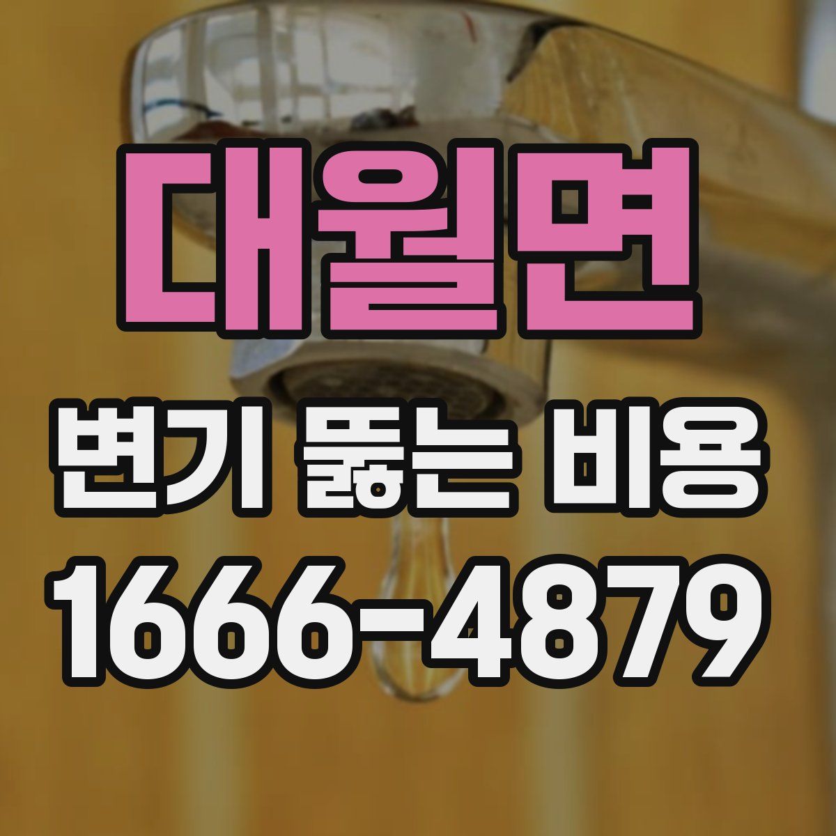 대월면 변기 뚫는 비용