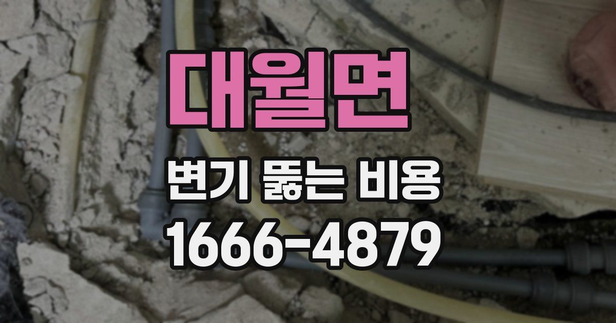 대월면 변기 뚫는 비용