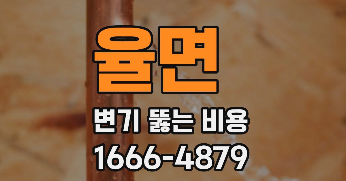 율면 변기 뚫는 비용