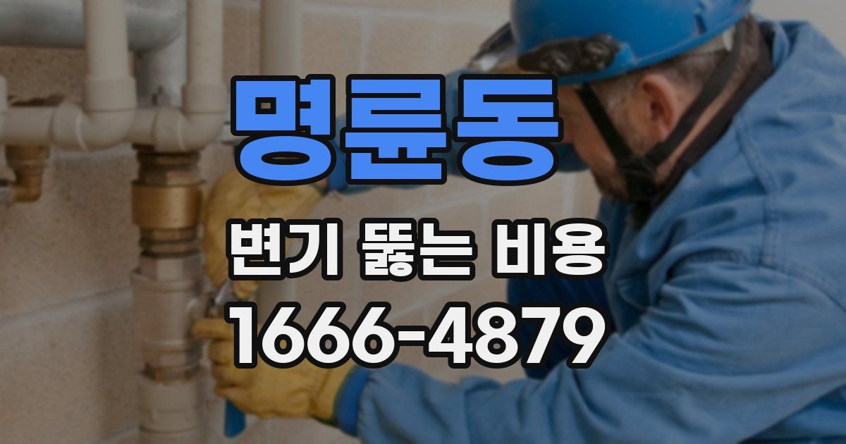 명륜동 변기 뚫는 비용
