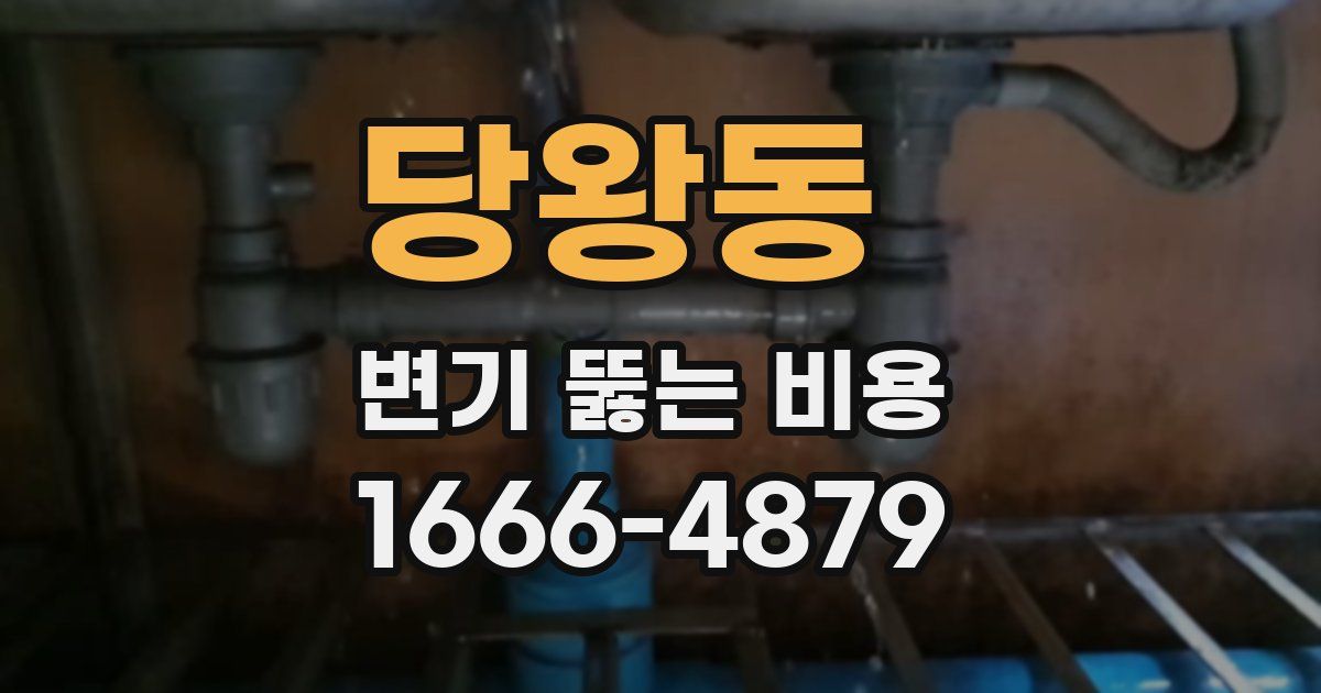 당왕동 변기 뚫는 비용