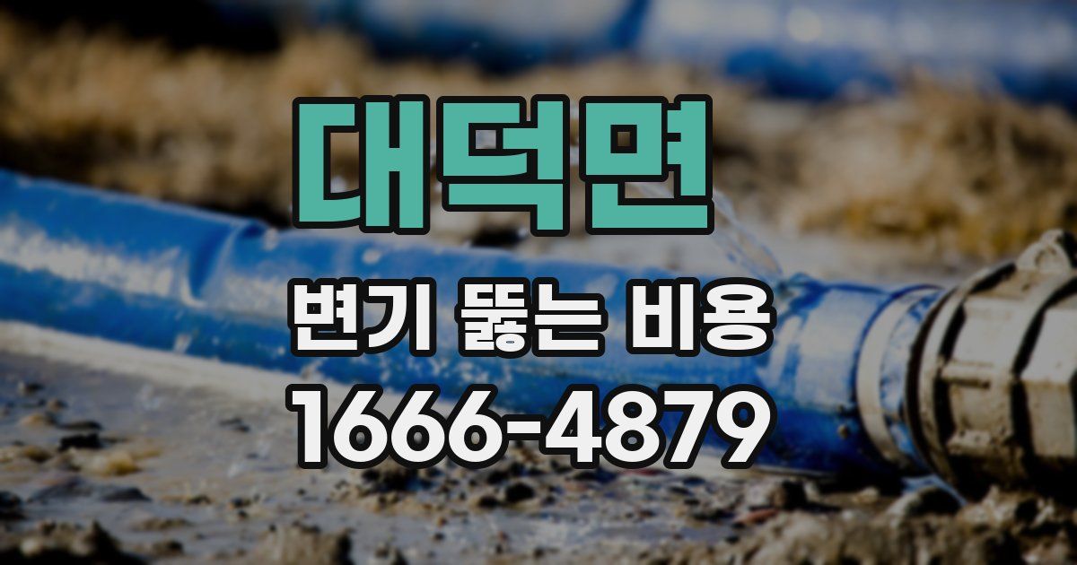 대덕면 변기 뚫는 비용