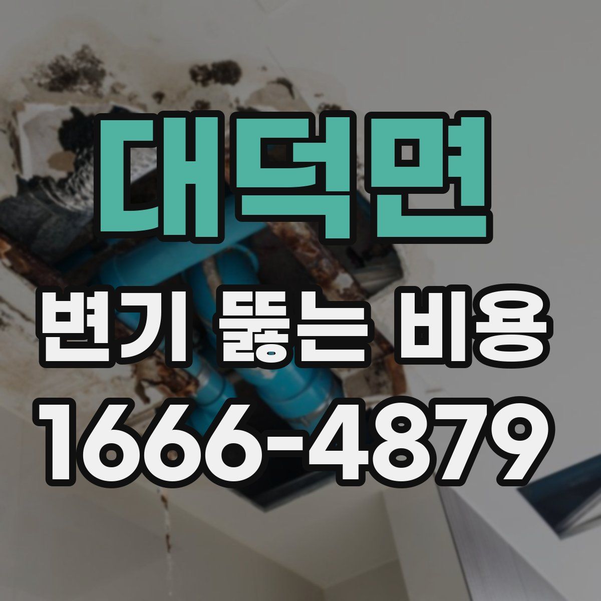대덕면 변기 뚫는 비용