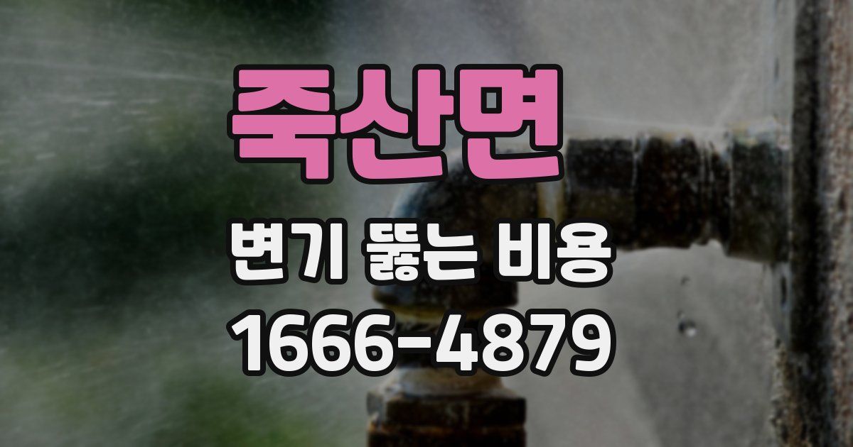 죽산면 변기 뚫는 비용