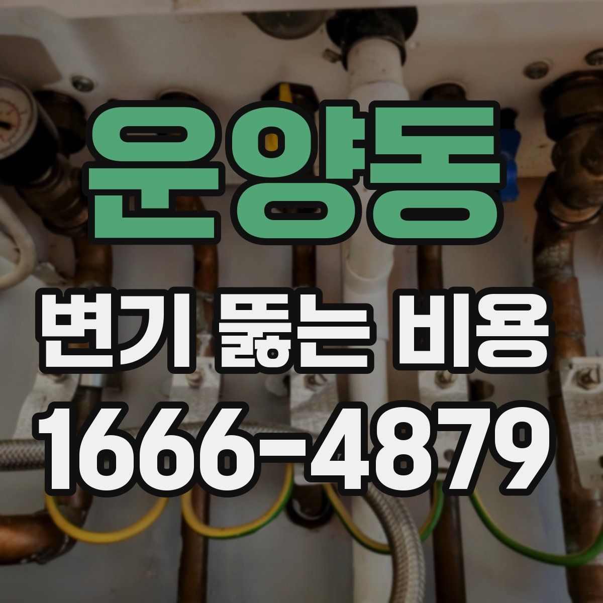 운양동 변기 뚫는 비용