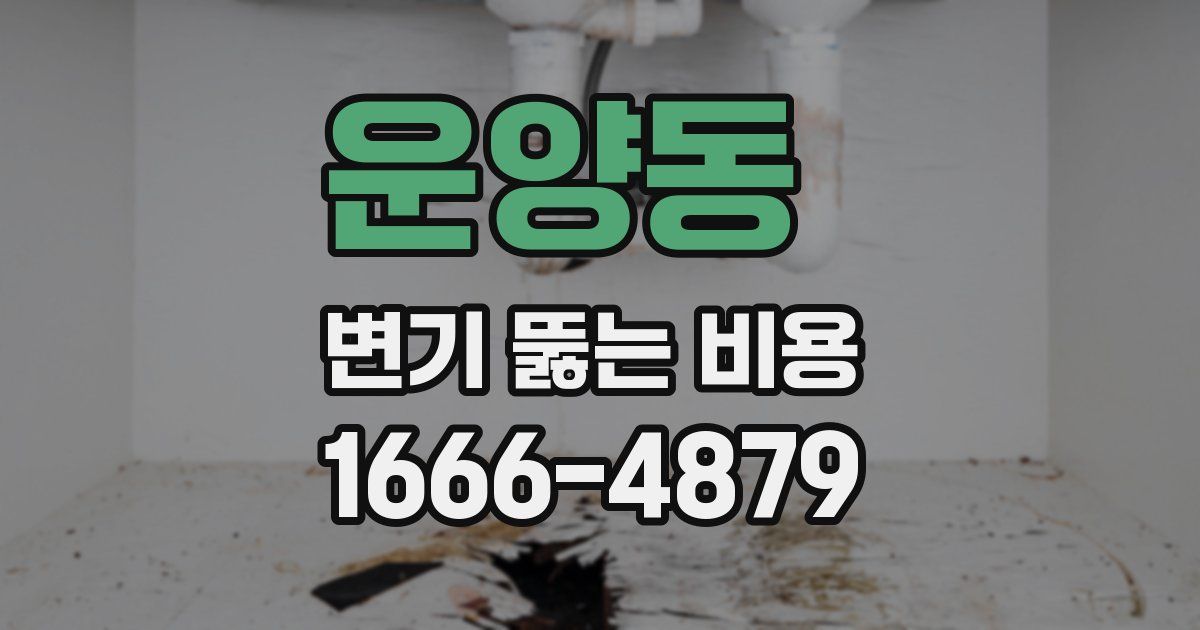 운양동 변기 뚫는 비용