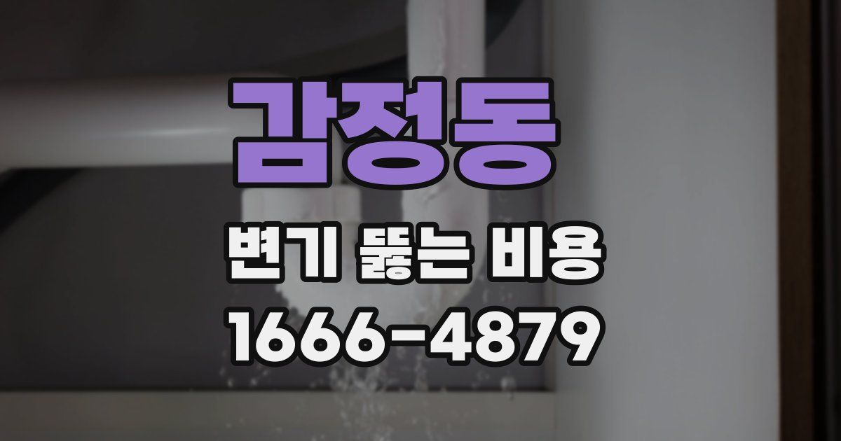 감정동 변기 뚫는 비용