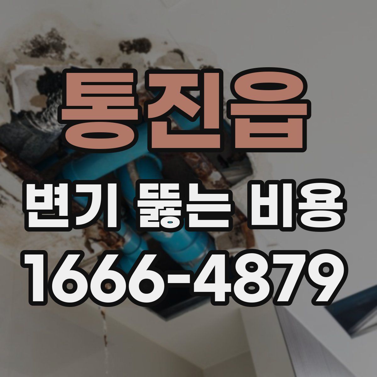 통진읍 변기 뚫는 비용