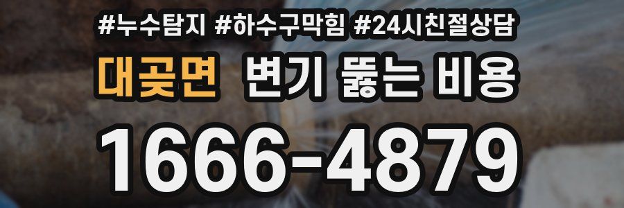 대곶면 변기 뚫는 비용