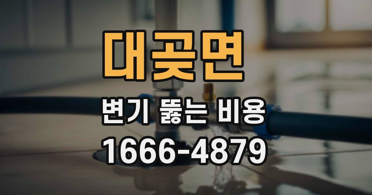 대곶면 변기 뚫는 비용