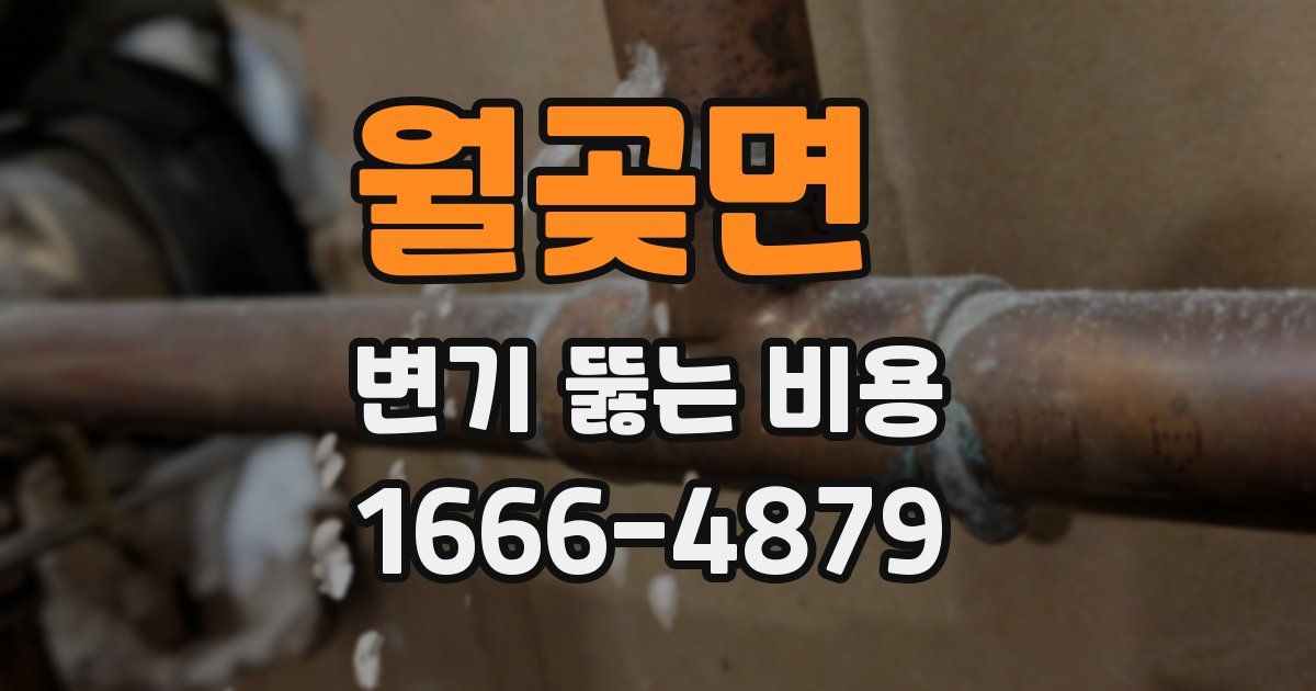 월곶면 변기 뚫는 비용