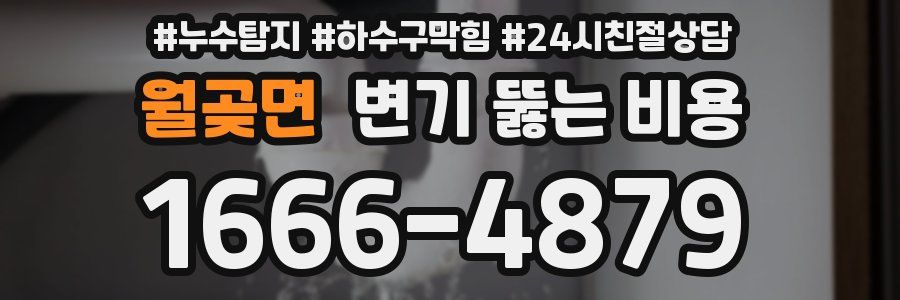 월곶면 변기 뚫는 비용