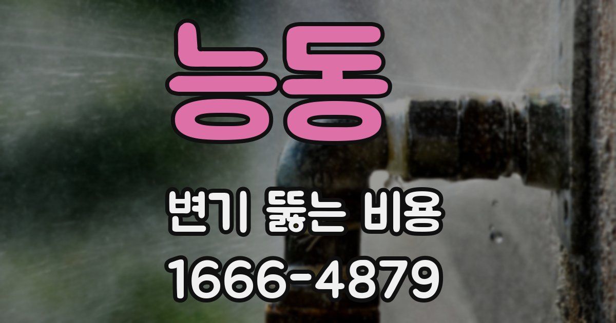 능동 변기 뚫는 비용