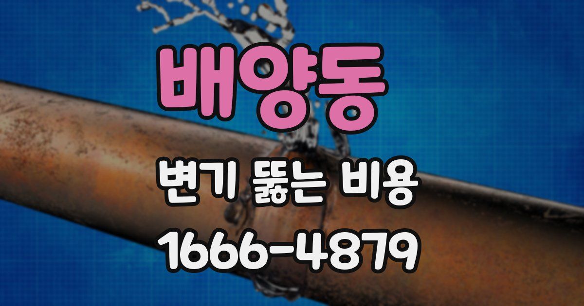 배양동 변기 뚫는 비용