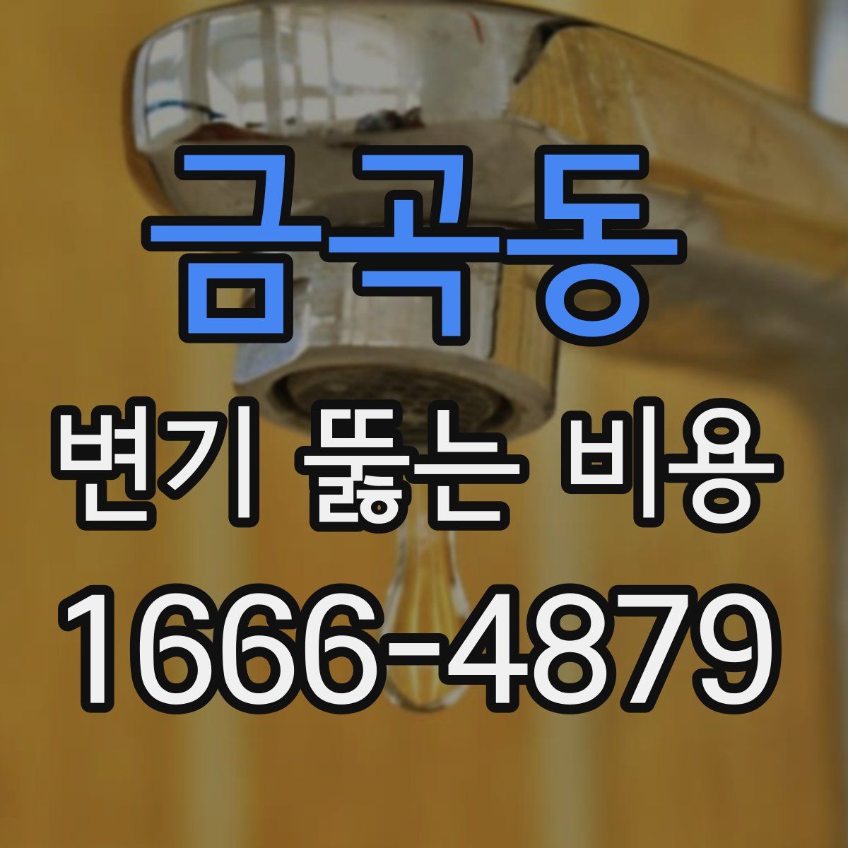 금곡동 변기 뚫는 비용