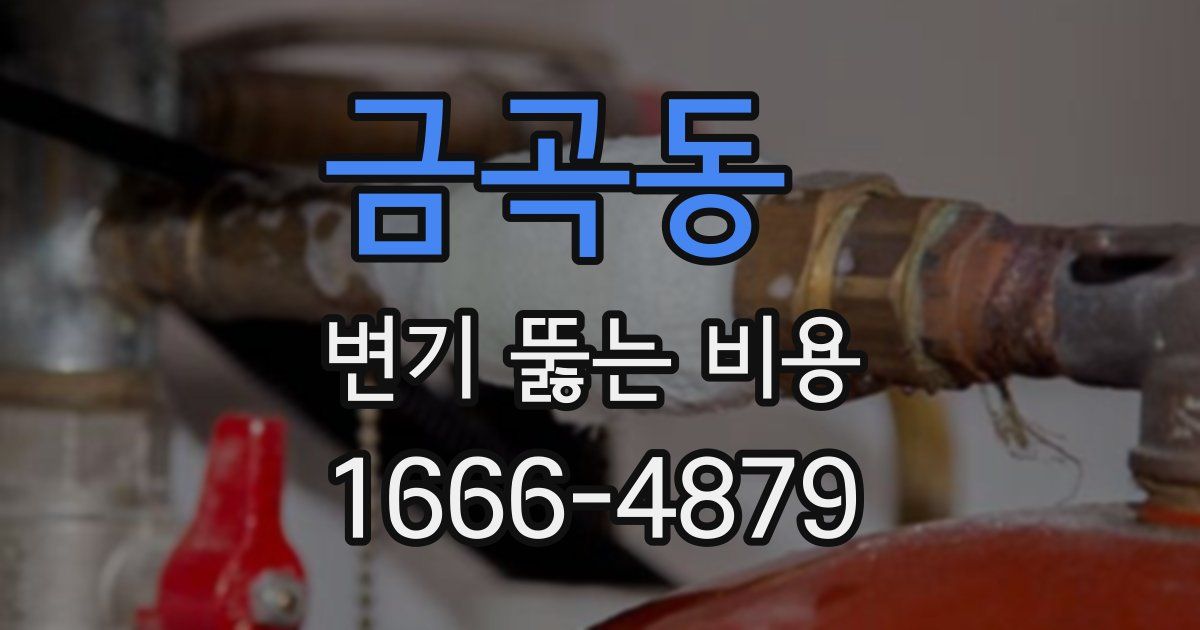 금곡동 변기 뚫는 비용