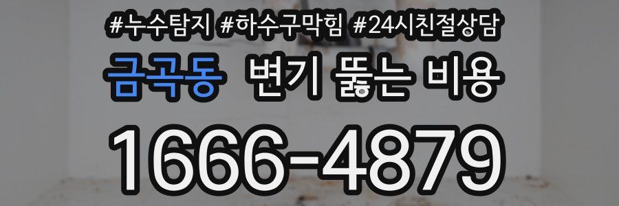 금곡동 변기 뚫는 비용